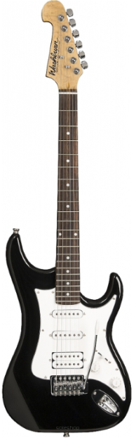 Wasburn  WS-300 HB