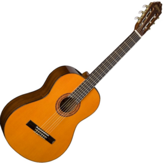 washburn c 5 n