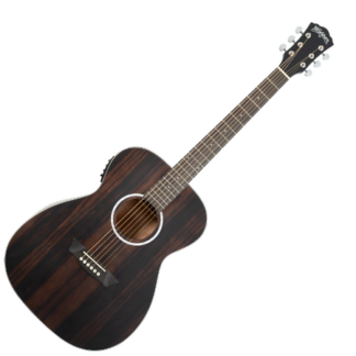 washburn df efe