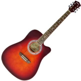 washburn wa 90 c rdb