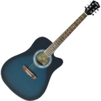 washburn wa 90 ce blb