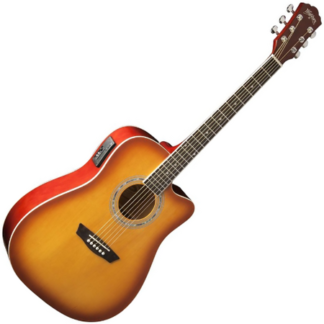 washburn wa 90 ce ts