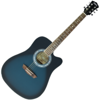 washburn we 90 c blb