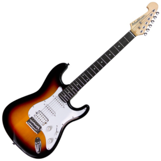 washburn ws 300 h ts