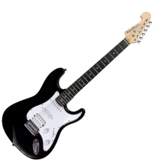 washburn ws300 h b
