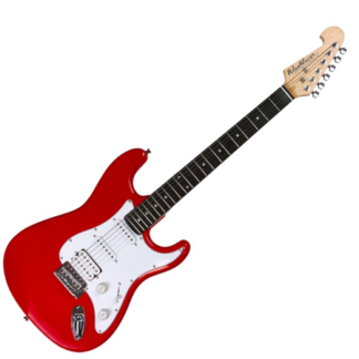 washburn ws300 h r
